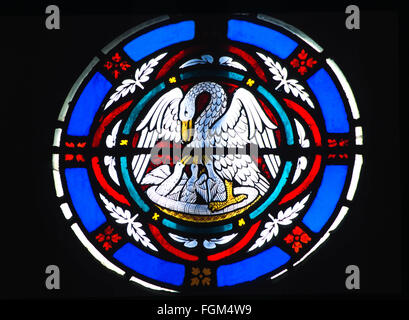 Abschnitt der Darstellung ein Pelikan und junge St. Magnus Scottish Episcopal Church Lerwick Shetland Ostfenster Stockfoto