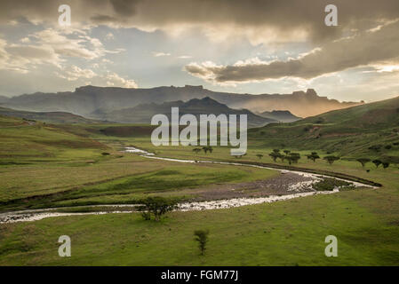 Drakensberg Amphitheater in Südafrika Stockfoto