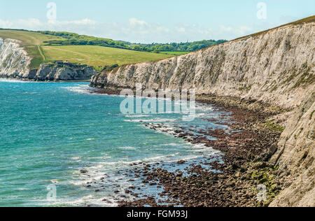 Küstenlandschaft zwischen Freshwater Bay und Crompton Bay an der Südküste der Isle of Wight, England Stockfoto