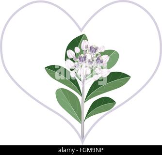 Liebe Konzept, Illustration von lila Calotropis Gigantea Blumen oder Krone Blumen in Herzform bilden isoliert auf weißem Backg Stock Vektor