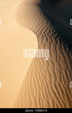 Mesquite flache Sanddünen im Death Valley Nationalpark, Kalifornien Stockfoto