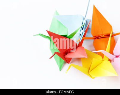 farbiges Papier Origami Vögel auf einem weißen Hintergrund Stockfoto