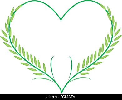 Liebe Konzept, Illustration von grünen Reisernte oder Getreidepflanzen in Herzform bilden Isolated on White Background. Stock Vektor