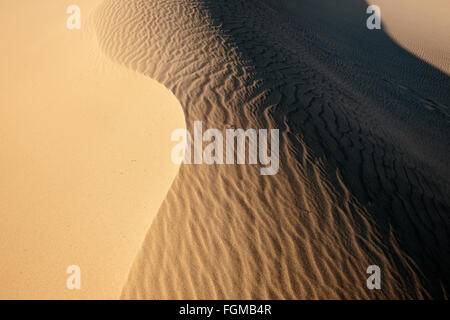 Mesquite flache Sanddünen im Death Valley Nationalpark, Kalifornien Stockfoto