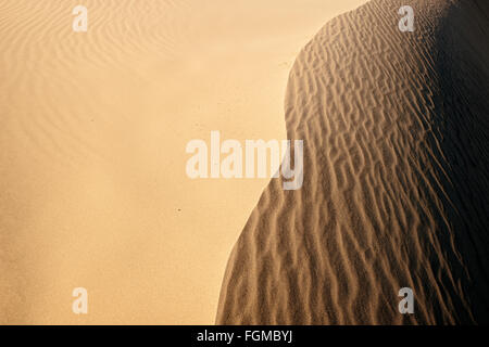 Mesquite flache Sanddünen im Death Valley Nationalpark, Kalifornien Stockfoto