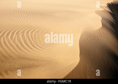 Mesquite flache Sanddünen im Death Valley Nationalpark, Kalifornien Stockfoto