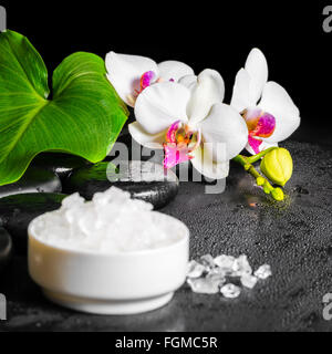 wunderschöne Spa-Konzept der weißen Orchidee Blume, Phalaenopsis, grünes Blatt mit Tau, Meersalz auf schwarzen Zen Steinen, Nahaufnahme Stockfoto