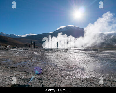 Tal der Geysire im Norden Chiles El Tatio bei Sonnenaufgang Atacama-Region in der Nähe der bolivianischen Grenze Stockfoto