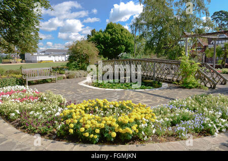 Dorf in Kent Sevenoaks Vine Cricket Garten hübsche Blume Anzeige Mitte Sommer Stockfoto