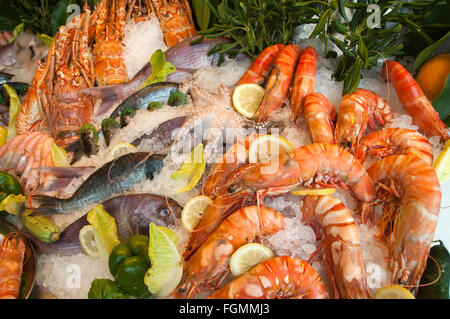 Griechenland, Kreta, Rethymnon, sterben, Restaurants Und Tavernen am Venezianischen Hafen Bieten Fisch Und Meeresfrüchte ein. Stockfoto