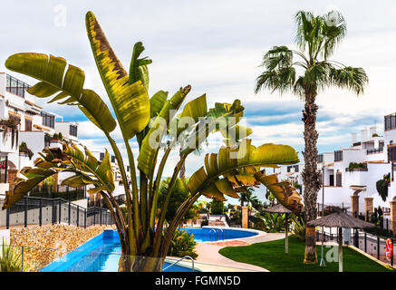 Typische spanische Stadthaus mit einem Swimming Pool. Provinz Alicante, Spanien Stockfoto