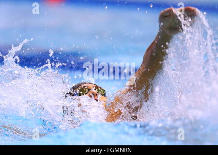 Daiya Seto, 21. Februar 2016 - Schwimmen: KONAMI OPEN 2016 Men 200 m Lagen Finale am internationalen Pool Tatsumi, Tokio, Japan. (Foto von Sho Tamura/AFLO SPORT) Stockfoto