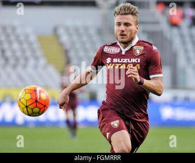 Turin, Italien. 21. Februar 2016. Ciro Immobile in Aktion während der Serie A Fußballspiel zwischen Turin und Carpi FC. Das Endergebnis des Spiels ist 0-0 © Nicolò Campo/Pacific Press/Alamy Live News Stockfoto