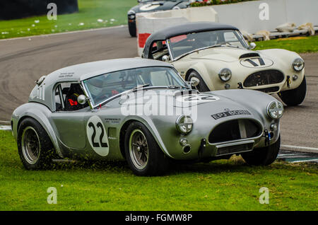 1964 AC Cobra gehört Richard Squire und wurde von Michael Squire und Frank Stippler beim Goodwood Revival 2015 gefahren Stockfoto