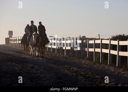 Menschen, die Reitpferde, Grenze Feld State Park, Tijuana River Estuarine Research Nationalreservat, California, USA Stockfoto