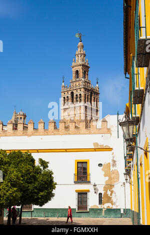 Sevilla, Provinz Sevilla, Andalusien, Südspanien.  Giralda Turm von Patio de Banderas gesehen. Stockfoto