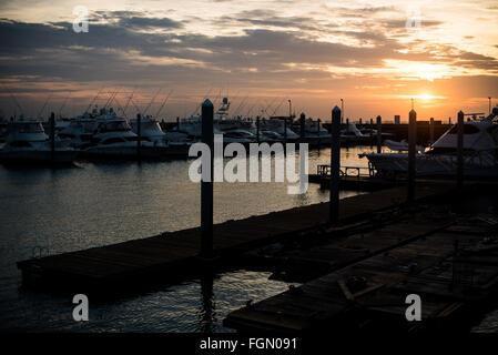 Panamakanal, Panama - Flameno Marina in Panama City, Panama, bei Sonnenaufgang. Stockfoto