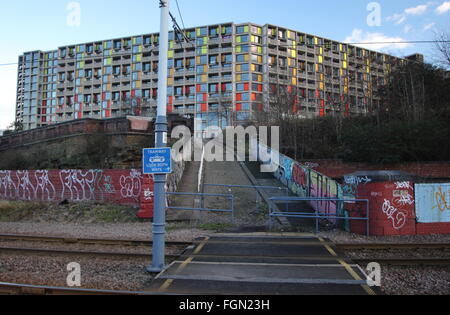 Regenerierte Wohnungen auf der Park Hill Wohnsiedlung mit Blick auf eine Sheffield Supertram Linie überqueren, Sheffield England UK Stockfoto