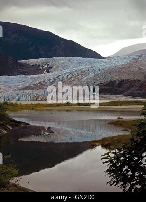 Mendenhall Gletscher und Reflexion in Mendenhall Lake an der Vorderseite des Gletschers.  Blaues Eis ist im ausgesetzt durch Schmelzen Gletscher Stockfoto