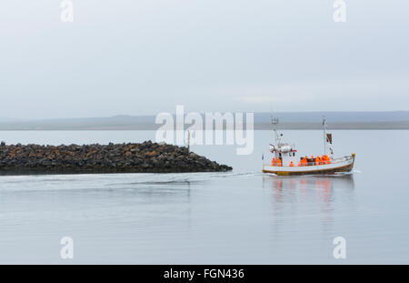 Island Hvammstangi Nordwesten Islands Dichtung beobachten Boot am Pier mit Touristen in orange Regenmäntel Stockfoto