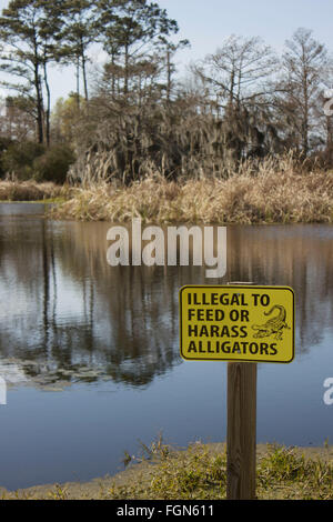 Alligator Warnzeichen im Fountainbleau State Park, Mandeville, Louisiana. USA. Stockfoto