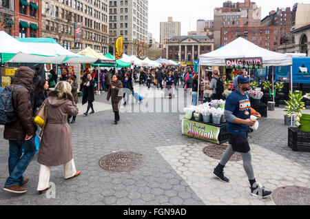 Shopper am Bauernmarkt am Union Square in New York City Stockfoto