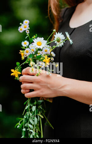 White Daisy Blumen gelb Stockfoto