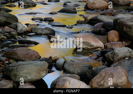 Herbstfarben spiegeln sich in Deerfield River, im Jahre County, Massachusetts Stockfoto