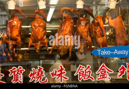 Hong Kong-China-Peking-Ente hängen im Fenster Kowloon Woosung Straße mit Reflexionen Stockfoto