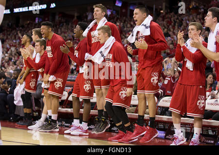 Madison, WI, USA. 21. Februar 2016. Wisconsin Bank reagiert nach einer Punktzahl bei der NCAA Basketball-Spiel zwischen Illinois Fighting Illini und die Wisconsin Badgers am Kohl Center in Madison, Wisconsin. Wisconsin besiegte Illinois 69-60. John Fisher/CSM/Alamy Live-Nachrichten Stockfoto