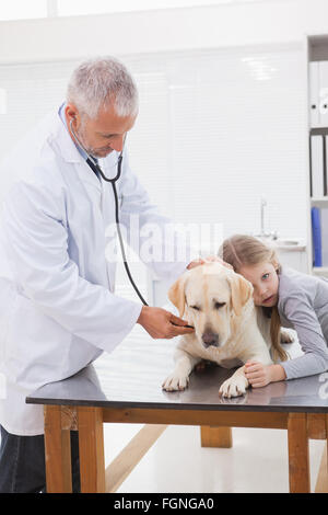 Tierarzt untersucht einen Hund mit seinem Besitzer unruhig Stockfoto