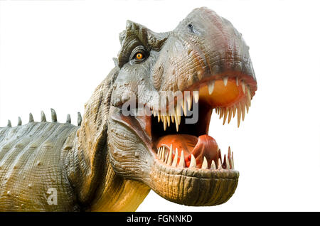 Aggressive T Rex Dinosaurier auf weißem Hintergrund. Stockfoto