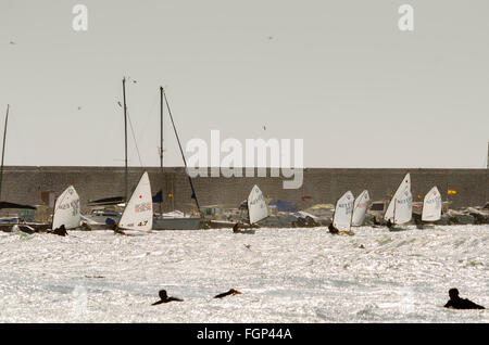 Fuengirola, Malaga, Andalusien, Spanien. 20. Februar 2016. Segelboote von Segelschule und Surfer in der Nähe von Port. Stockfoto