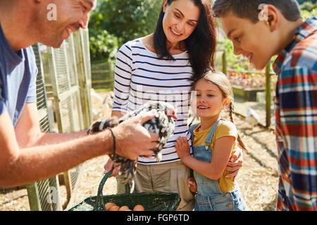 Familie, die Ernte von frischer Eiern von Hühnern Stockfoto