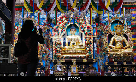 Eine Dame Klick Bild der goldenen Statuen mit ihrem Smartphone. Golden Buddhistentempel, Bylakuppe, Coorg, Karnataka, Indien, Stockfoto