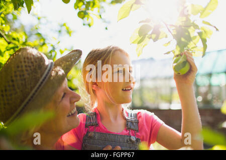 Großmutter und Enkelin Kommissionierung Apfel vom Baum im sonnigen Garten Stockfoto