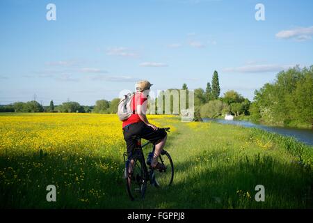 Radfahren entlang der Themse in der Nähe von Appleton in Oxfordshire, England Stockfoto