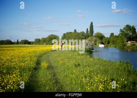 Radfahren entlang der Themse in der Nähe von Appleton in Oxfordshire, England Stockfoto