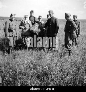 Zweiter Weltkrieg, Sowjetunion, Sommer 1941, Mitglieder eines Reichsarbeitsdienstes, im Einsatz an der Ostfront, mit ukrainischen Zivilisten, Zusatzrechte-Clearences-nicht verfügbar Stockfoto