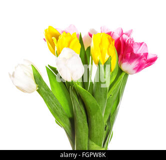 Bündel von Frühling Tulpen Blumen in Metall Topf auf weißem Hintergrund. Ein Blumenstrauß für den 8. März, oder zum Valentinstag Stockfoto