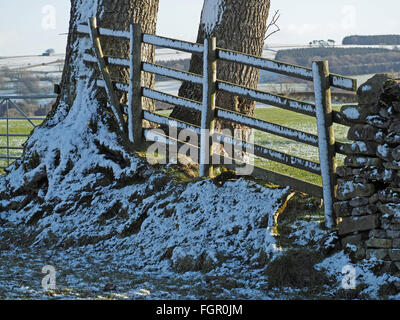 Prise schattigen Schnee auf Bank Zaun und Baum-Stämmen im sonnigen Cumbrian Bauernhof ländlich Stockfoto