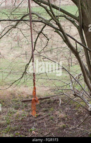 Hausgemachte Seil schwingen auf einem Baum im Wald Stockfoto