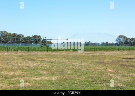 Eine seitliche verschieben Bewässerungssystem, manchmal genannt ein Linear bewegen, Wheelmove oder Seite Rollen System, Bewässerung von Pflanzen in Australien. Stockfoto