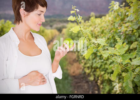 Zusammengesetztes Bild schöne schwangere Frau grünen Apfel essen Stockfoto