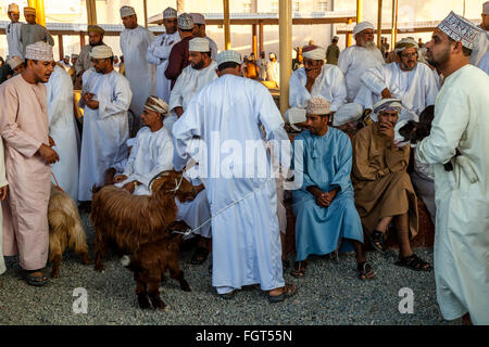 Der Freitag Vieh Markt, Nizwa, Ad Dakhiliyah Region, Oman Stockfoto