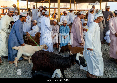 Der Freitag Vieh Markt, Nizwa, Ad Dakhiliyah Region, Oman Stockfoto