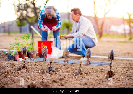 Garten Sie ältere Frau und Mann das Pflügen und säen, Stockfoto