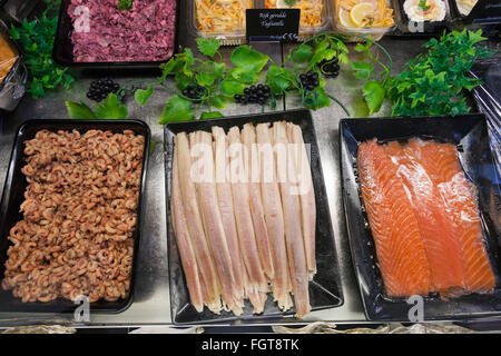 Frischer Fisch auf Anzeige in Kühler Schrank, für den Verkauf in einem Fischhändler / sandwich-Shop. Amsterdam. Holland Niederlande Stockfoto