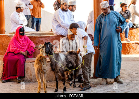 Der Freitag Vieh Markt, Nizwa, Ad Dakhiliyah Region, Oman Stockfoto