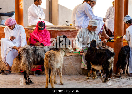 Der Freitag Vieh Markt, Nizwa, Ad Dakhiliyah Region, Oman Stockfoto